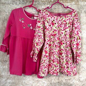 🪩Hanna Andersson Set of 2 Tops Pink & Floral - 140